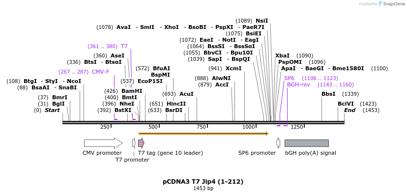 91480_map