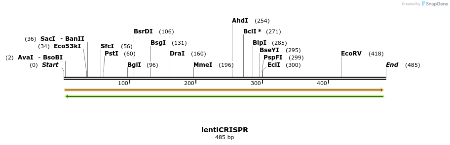91485_map