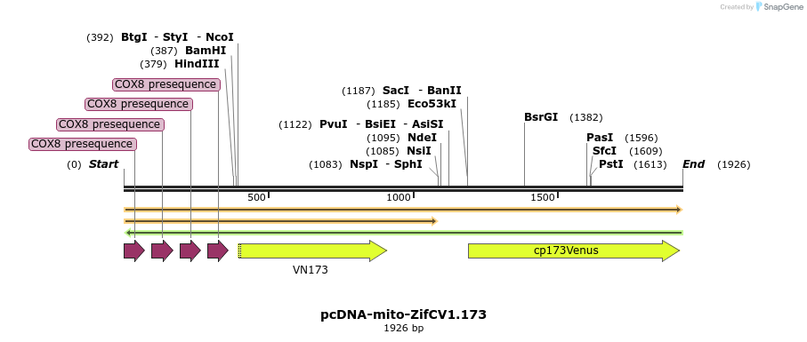 91491_map
