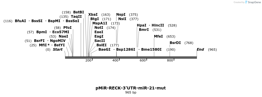 91494_map