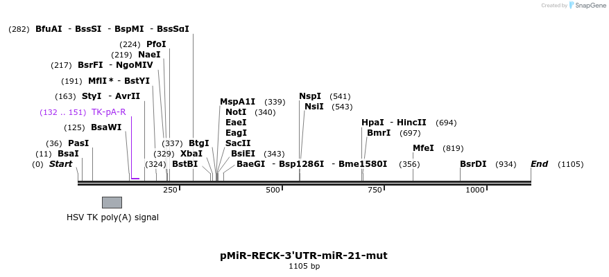 91497_map