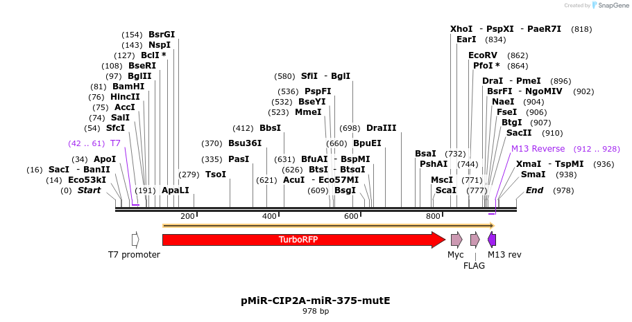91500_map