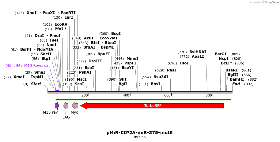 91502_map