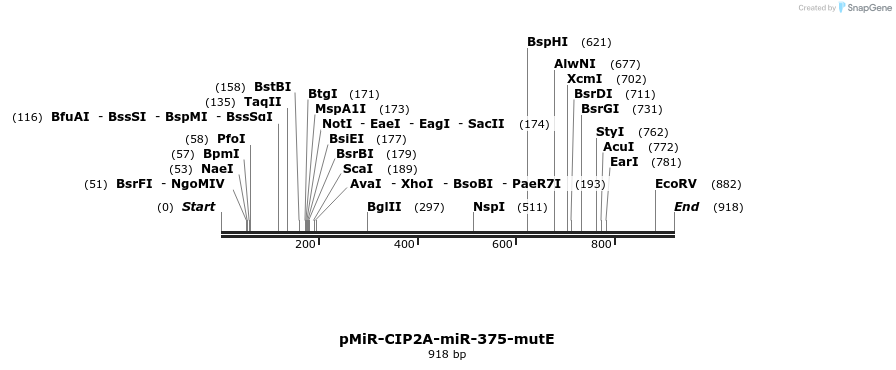 91503_map