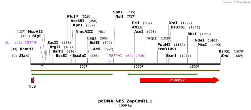 91504_map