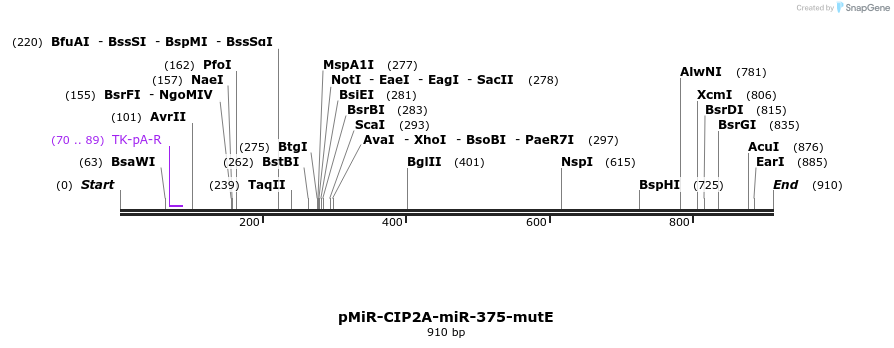 91506_map