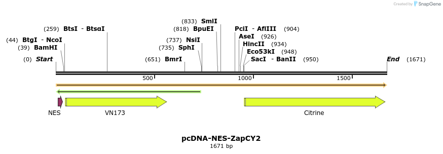 91507_map