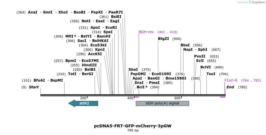 91510_map