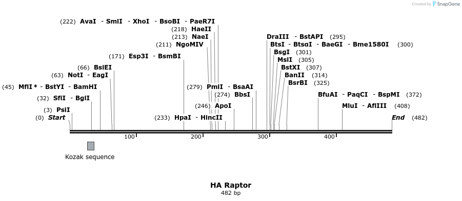 91514_map
