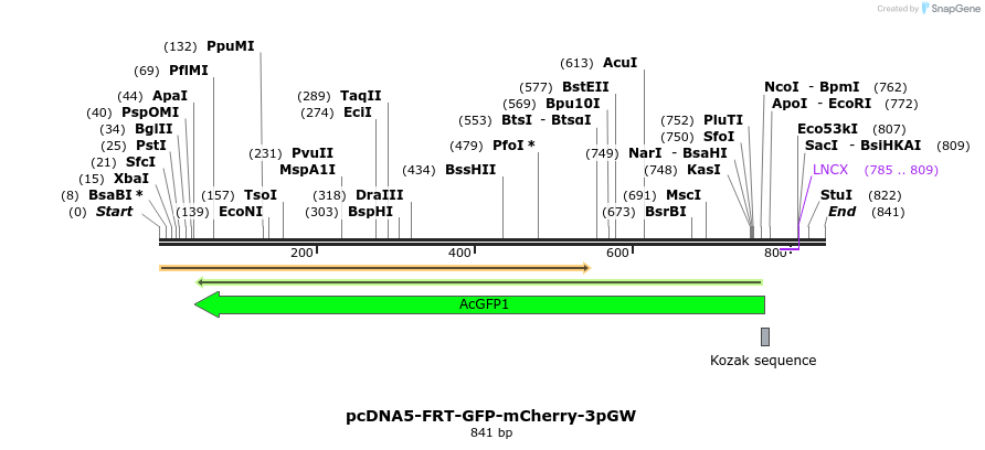 91515_map