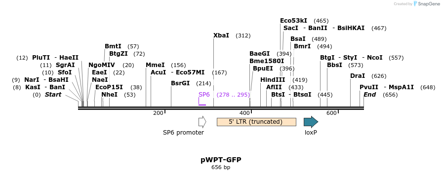 91521_map
