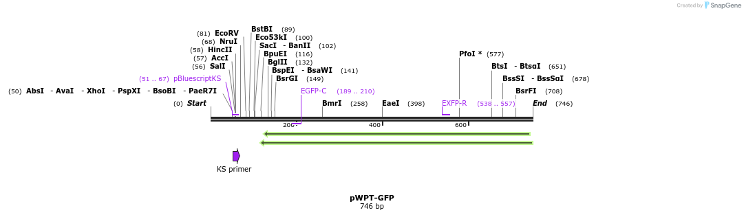 91523_map