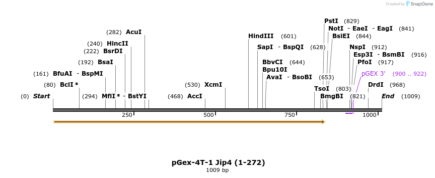 91532_map