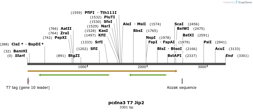 91540_map