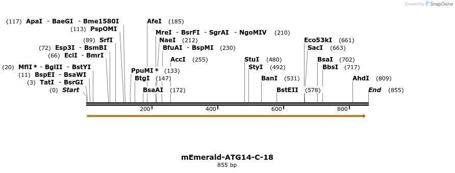 91543_map
