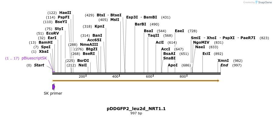 91550_map