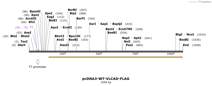 91554_map