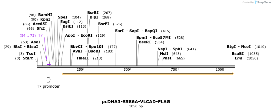 91556_map