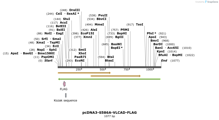 91557_map