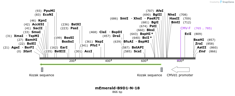 91565_map
