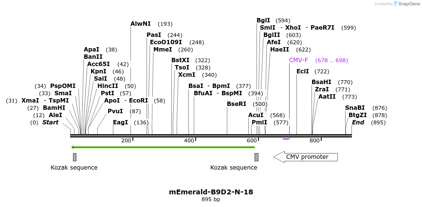 91567_map