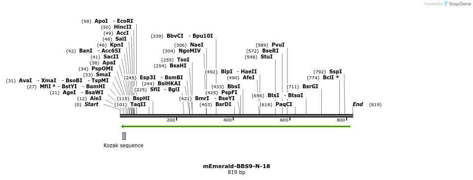 91568_map