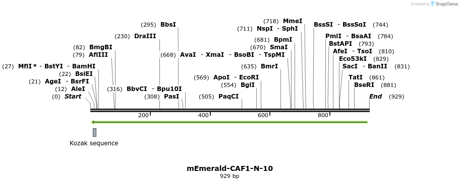91569_map