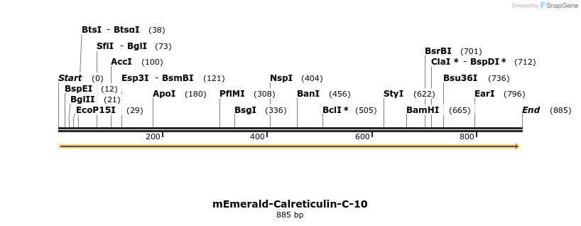 91572_map