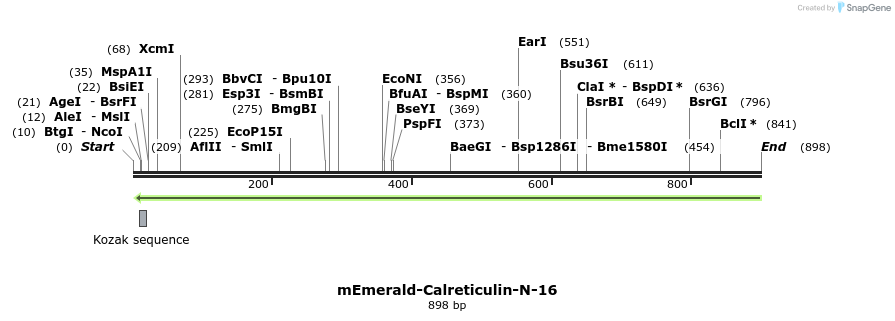 91574_map