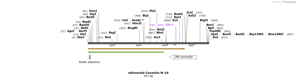 91576_map