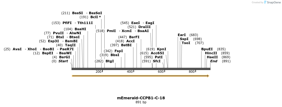 91578_map