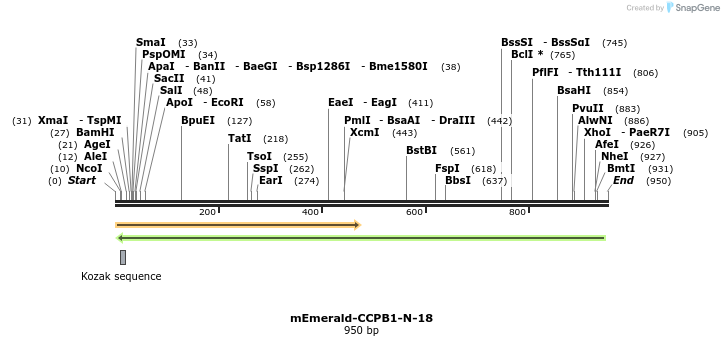 91579_map