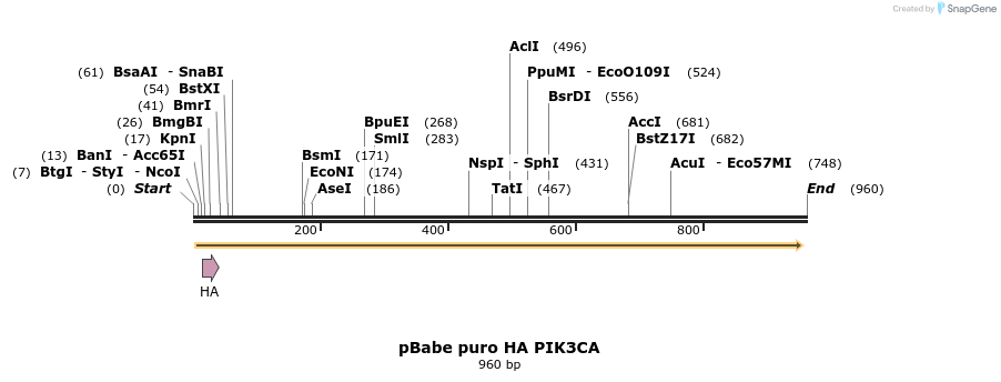 91581_map