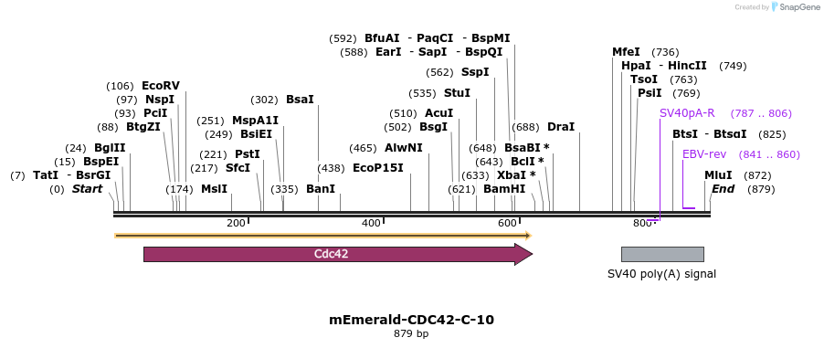 91584_map