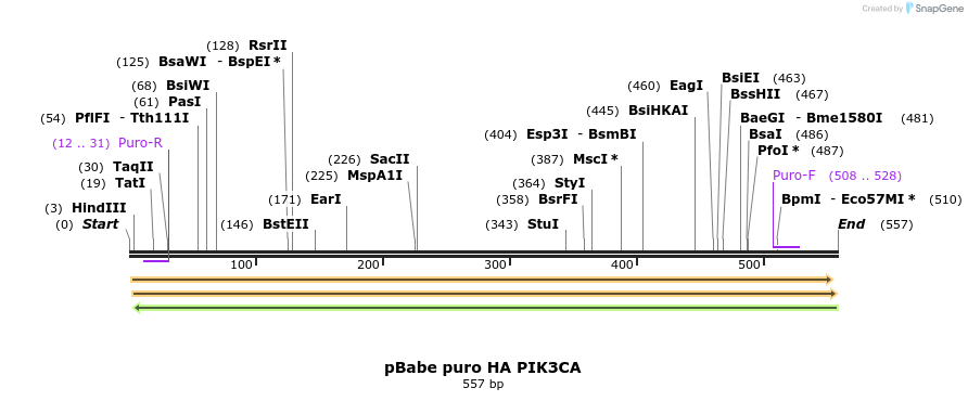 91585_map