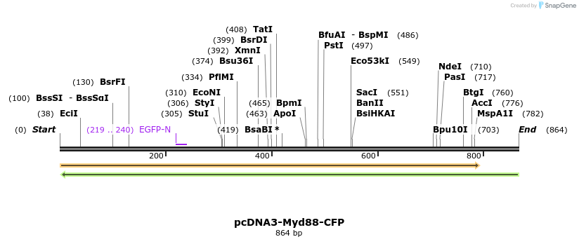 91590_map