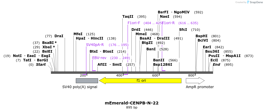 91592_map