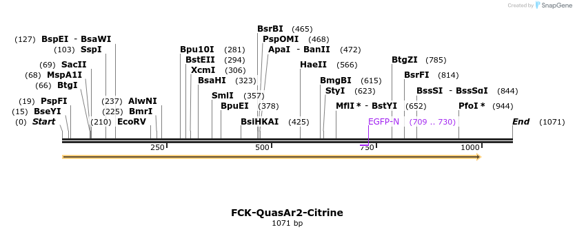 91645_map