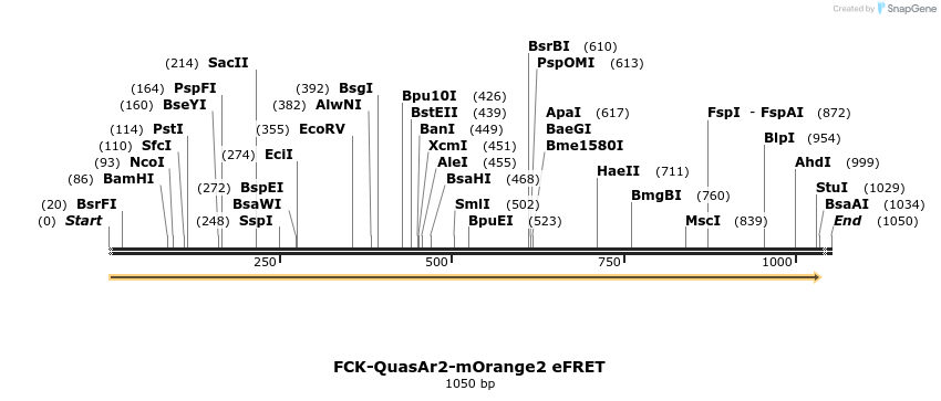 91649_map
