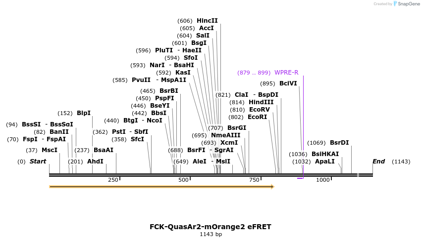91650_map