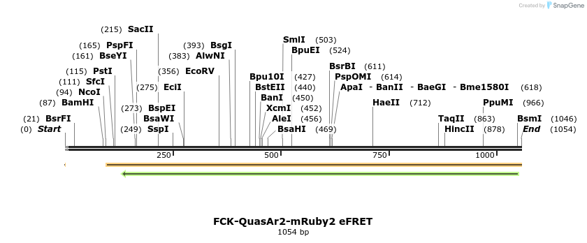 91652_map