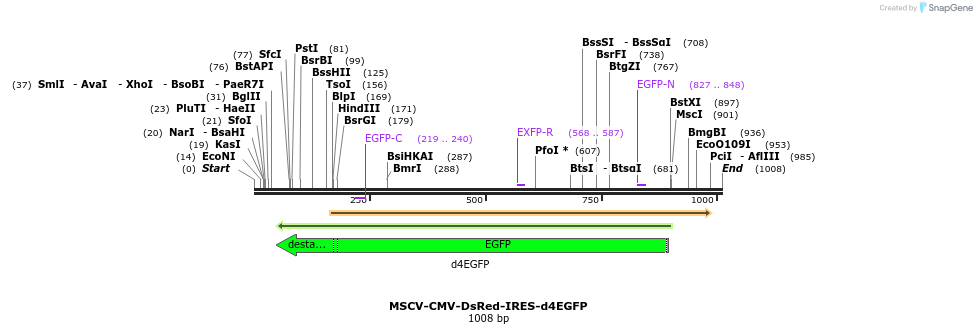 91660_map