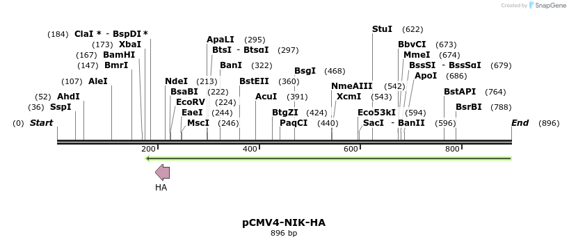 91663_map