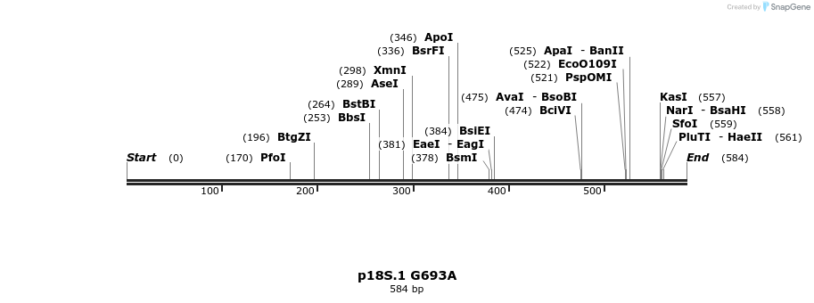 91666_map