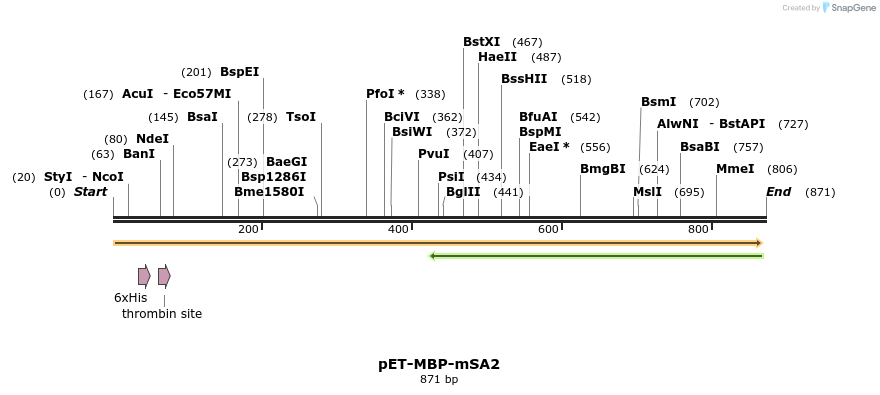 91668_map