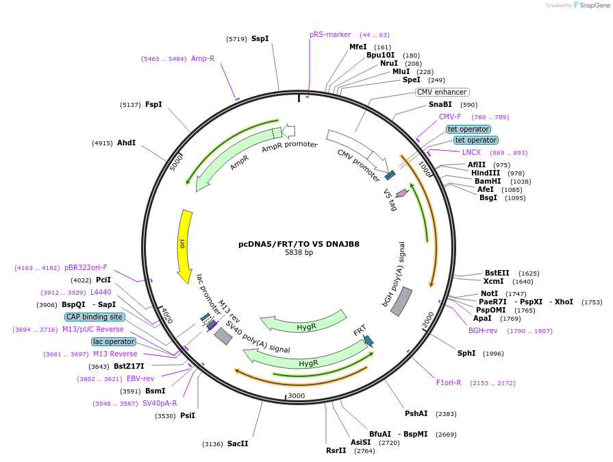 9167_map