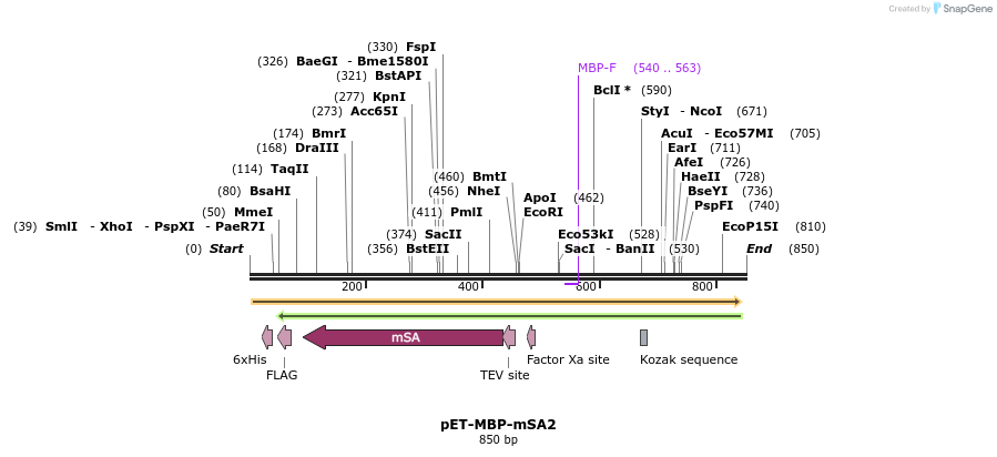 91670_map