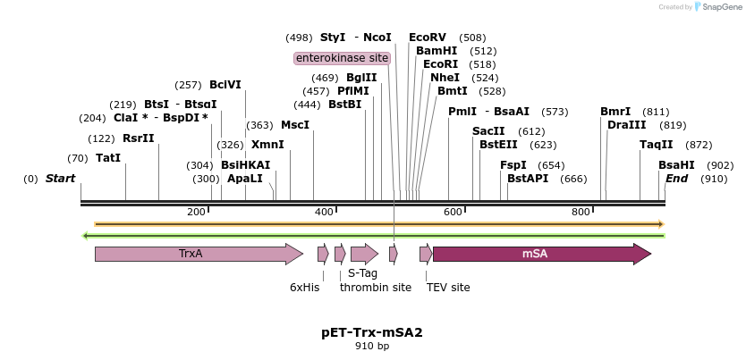 91671_map