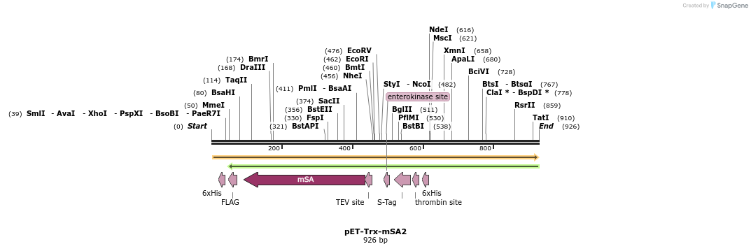 91672_map