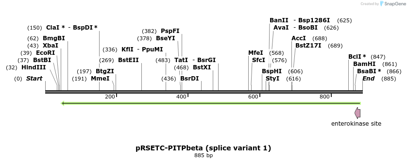 91685_map